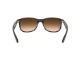 Ray-Ban Andy Lunettes de Soleil RB 4202 6073/13