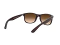 Ray-Ban Andy Lunettes de Soleil RB 4202 6073/13