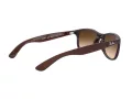 Ray-Ban Andy Lunettes de Soleil RB 4202 6073/13