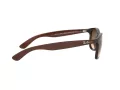 Ray-Ban Andy Lunettes de Soleil RB 4202 6073/13