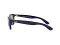 Ray-Ban Andy Lunettes de Soleil RB 4202 6153/55