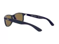 Ray-Ban Andy Lunettes de Soleil RB 4202 6153/55