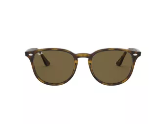 Ray-Ban Lunettes de Soleil RB 4259 710/73