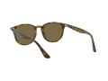 Ray-Ban Lunettes de Soleil RB 4259 710/73