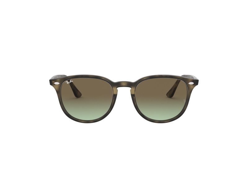Ray-Ban Lunettes de Soleil RB 4259 731/E8