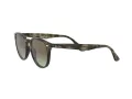 Ray-Ban Lunettes de Soleil RB 4259 731/E8