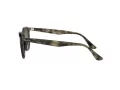 Ray-Ban Lunettes de Soleil RB 4259 731/E8