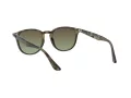 Ray-Ban Lunettes de Soleil RB 4259 731/E8