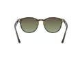 Ray-Ban Lunettes de Soleil RB 4259 731/E8