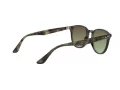 Ray-Ban Lunettes de Soleil RB 4259 731/E8