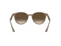 Ray-Ban Lunettes de Soleil RB 4305 6166/13