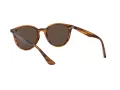 Ray-Ban Lunettes de Soleil RB 4305 820/73
