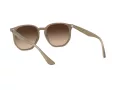 Ray-Ban Lunettes de Soleil RB 4306 616613