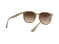 Ray-Ban Lunettes de Soleil RB 4306 616613