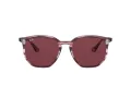 Ray-Ban Lunettes de Soleil RB 4306 6431/75
