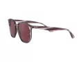 Ray-Ban Lunettes de Soleil RB 4306 6431/75