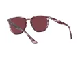 Ray-Ban Lunettes de Soleil RB 4306 6431/75