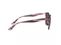 Ray-Ban Lunettes de Soleil RB 4306 6431/75