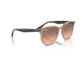 Ray-Ban Lunettes de Soleil RB 4306 678846
