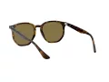 Ray-Ban Lunettes de Soleil RB 4306 710/73