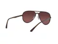 Ray-Ban Lunettes de Soleil RB 4320/CH 710/6B