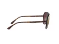 Ray-Ban Lunettes de Soleil RB 4320/CH 710/6B