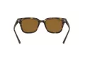 Ray-Ban Lunettes de Soleil RB 4323 710/33