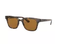 Ray-Ban Lunettes de Soleil RB 4323 710/83