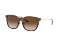 Ray-Ban Lunettes de Soleil RB 4333D 710/13