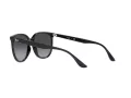 Ray-Ban Lunettes de Soleil 4378 601/8G