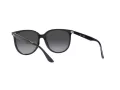 Ray-Ban Lunettes de Soleil 4378 601/8G