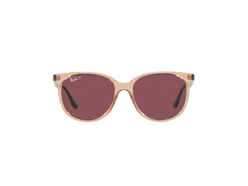 Ray-Ban Lunettes de Soleil RB 4378 6602/5Q