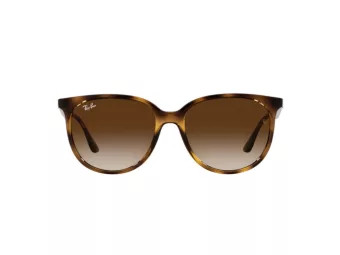 Ray-Ban Lunettes de Soleil 4378 710/13