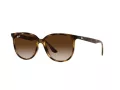 Ray-Ban Lunettes de Soleil 4378 710/13