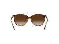 Ray-Ban Lunettes de Soleil 4378 710/13