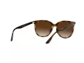 Ray-Ban Lunettes de Soleil 4378 710/13