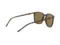Ray-Ban Lunettes de Soleil RB 4387 710/73