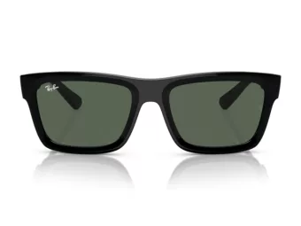 Ray-Ban Warren Lunettes de Soleil RB 4396 667771