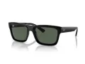 Ray-Ban Warren Lunettes de Soleil RB 4396 667771