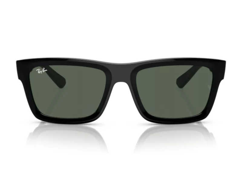 Ray-Ban Warren Lunettes de Soleil RB 4396 667771