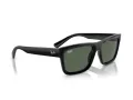 Ray-Ban Warren Lunettes de Soleil RB 4396 667771