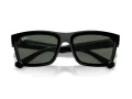 Ray-Ban Warren Lunettes de Soleil RB 4396 667771