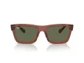 Ray-Ban Warren Lunettes de Soleil RB 4396 66789A