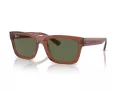 Ray-Ban Warren Lunettes de Soleil RB 4396 66789A