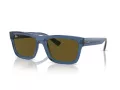 Ray-Ban Warren Lunettes de Soleil RB 0RB4396 668073