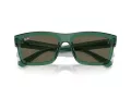 Ray-Ban Warren Lunettes de Soleil RB 0RB4396 6681/3
