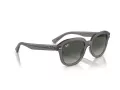 Ray-Ban Erik Lunettes de Soleil RB 0RB4398 667571