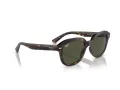 Ray-Ban Erik Lunettes de Soleil RB 0RB4398 902/31