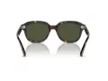 Ray-Ban Erik Lunettes de Soleil RB 0RB4398 902/31