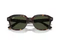 Ray-Ban Erik Lunettes de Soleil RB 0RB4398 902/31
